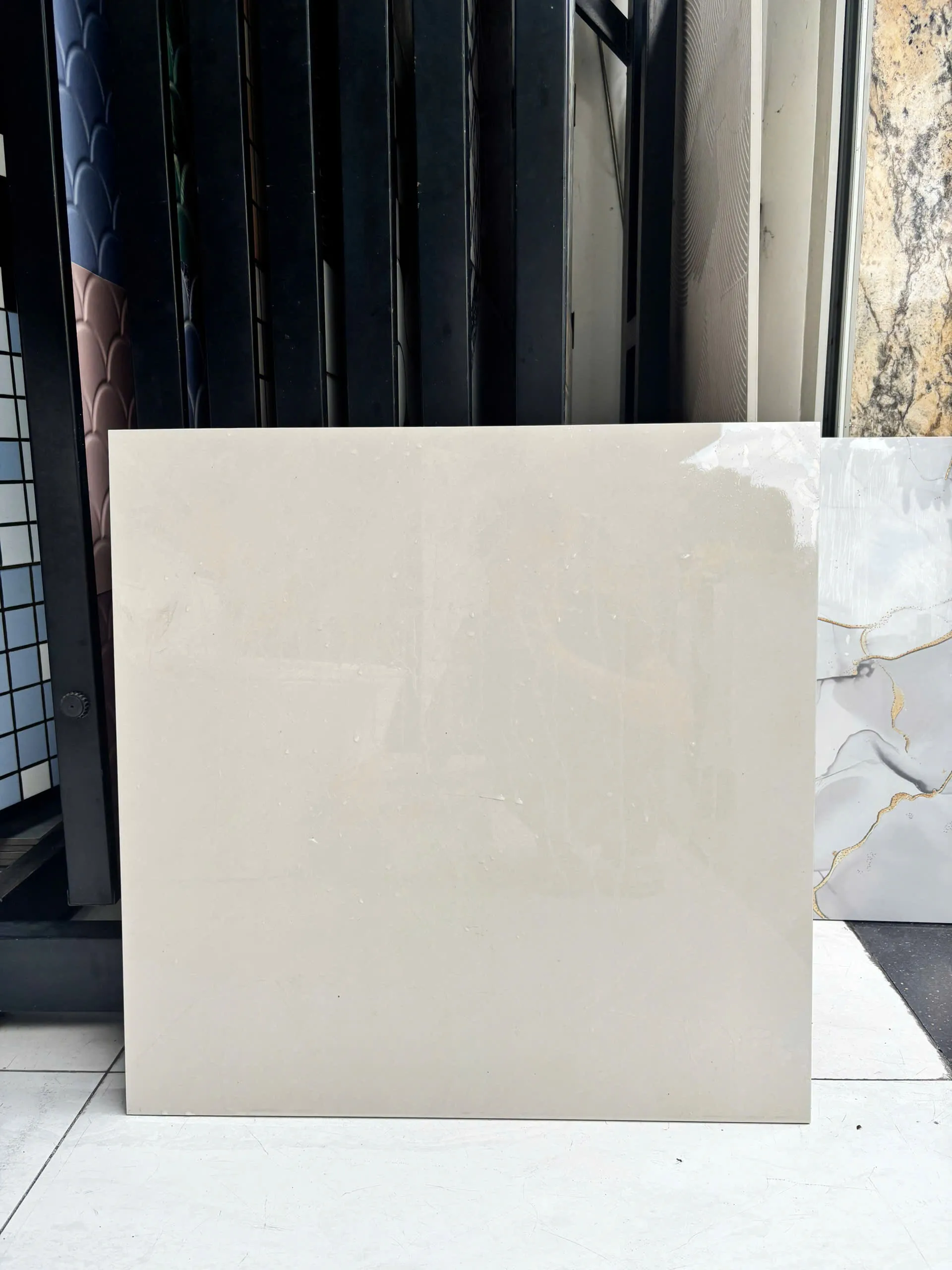 Gạch Ốp lát TS04