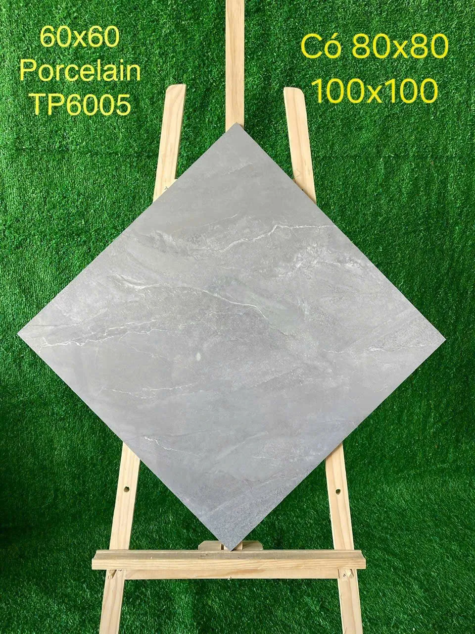 procelain TP6005
