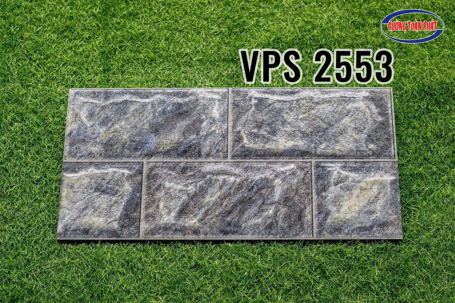 VPS 2553