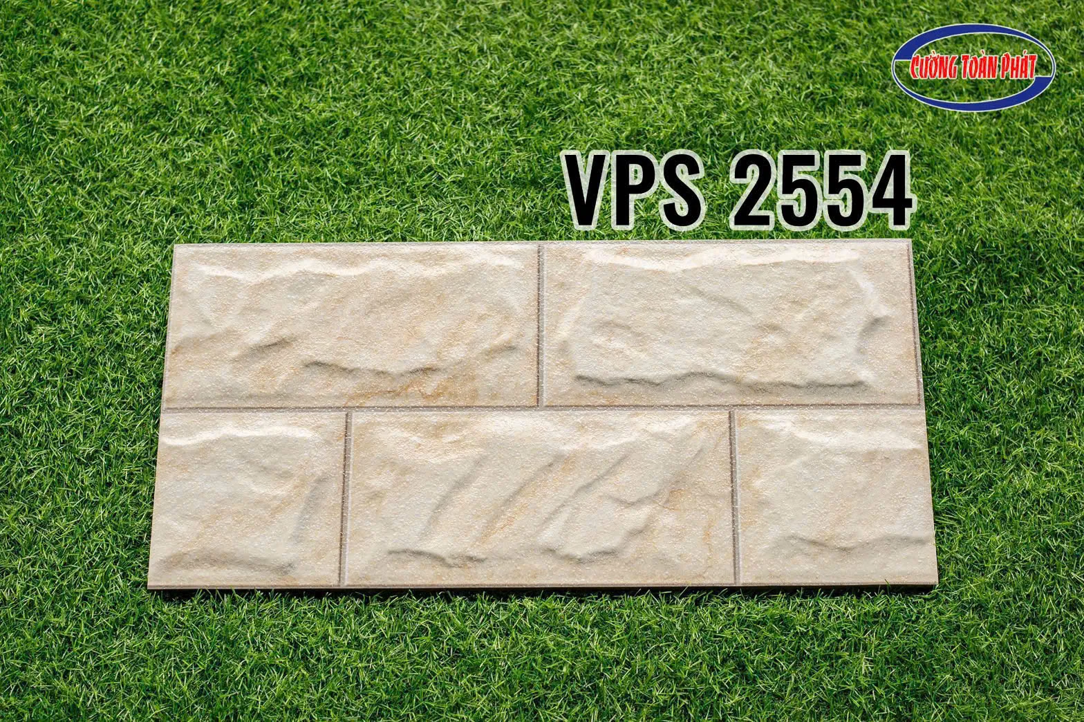 VPS 2554