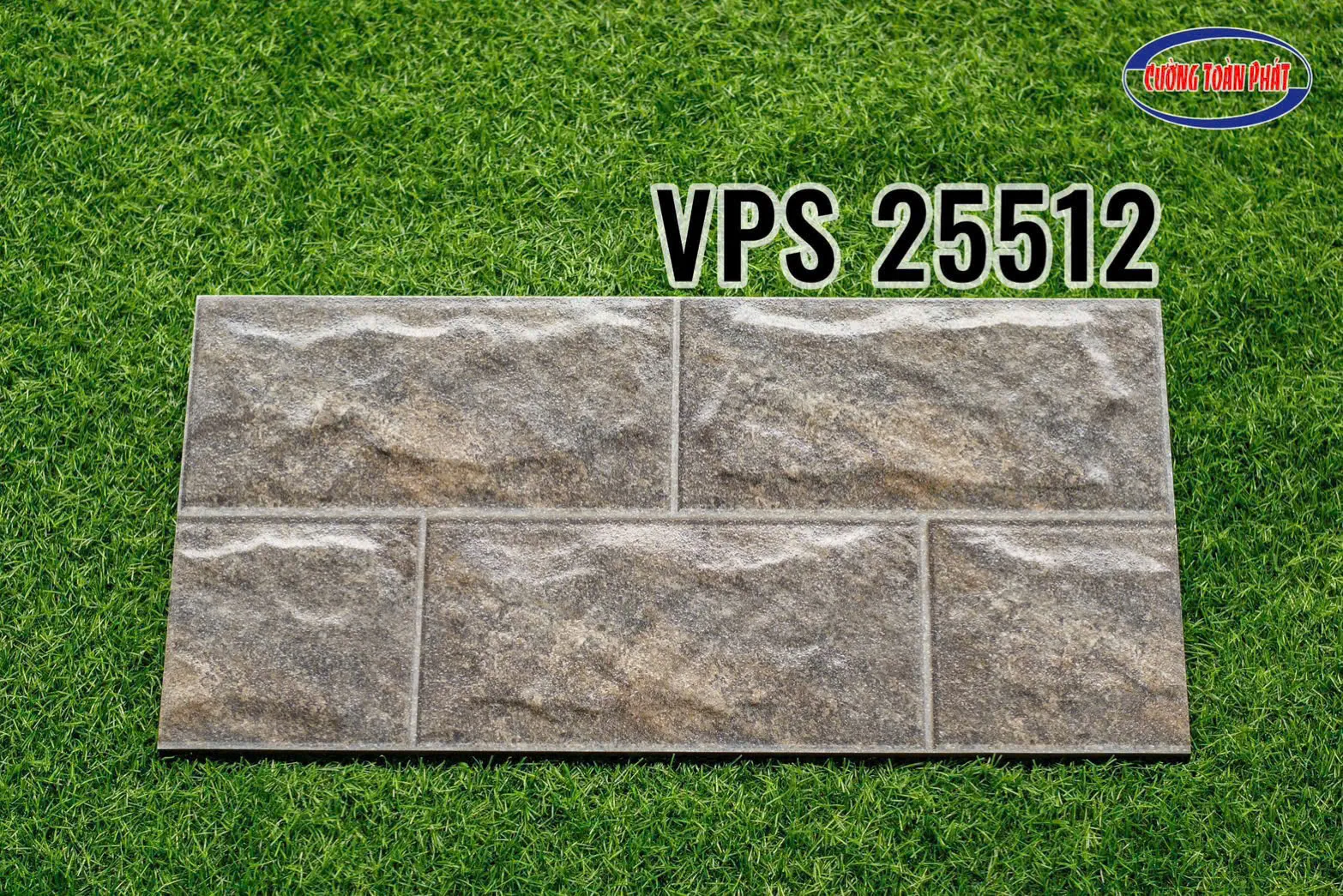 VPS 25512