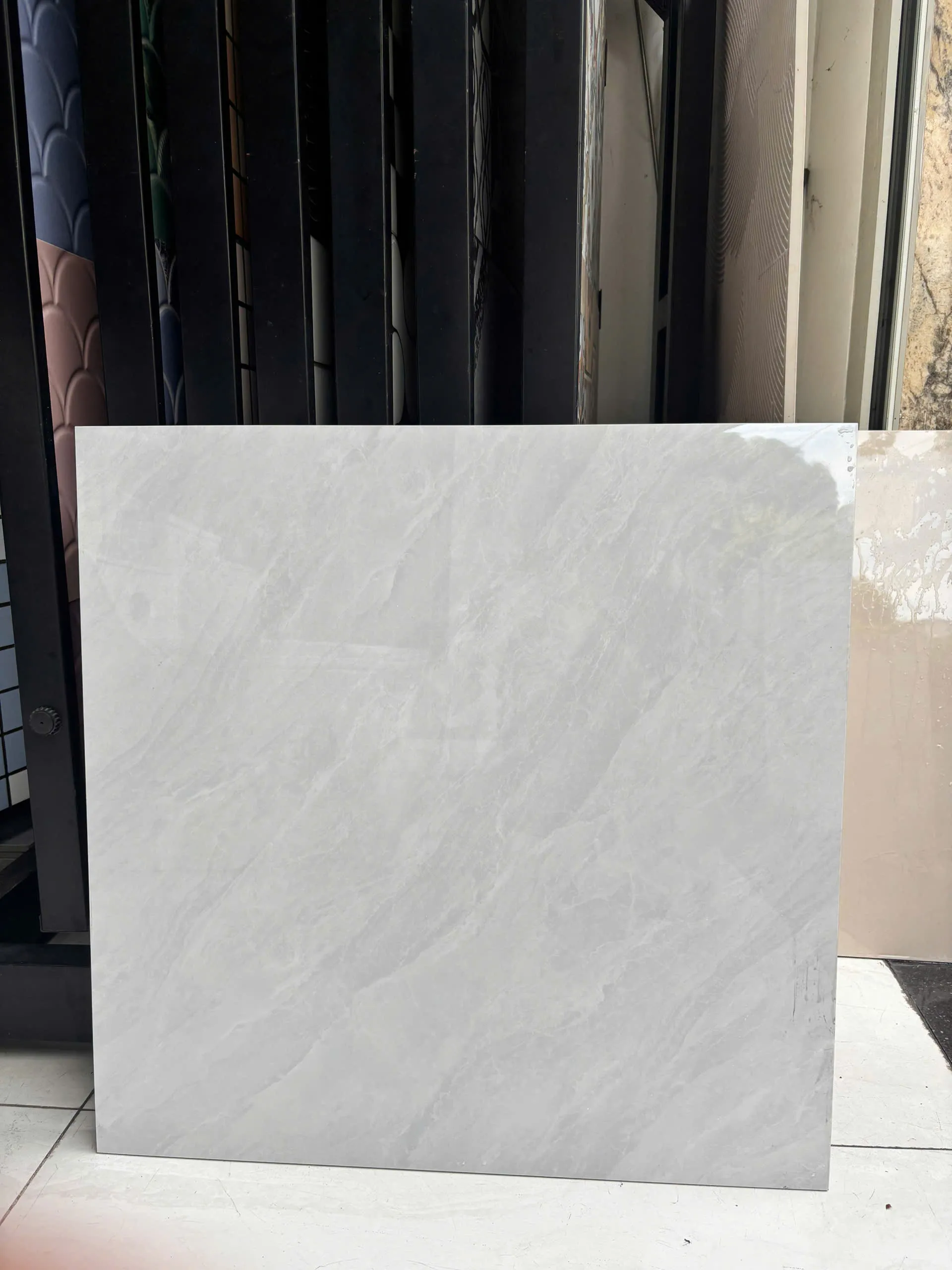 Gạch Ốp lát TS05