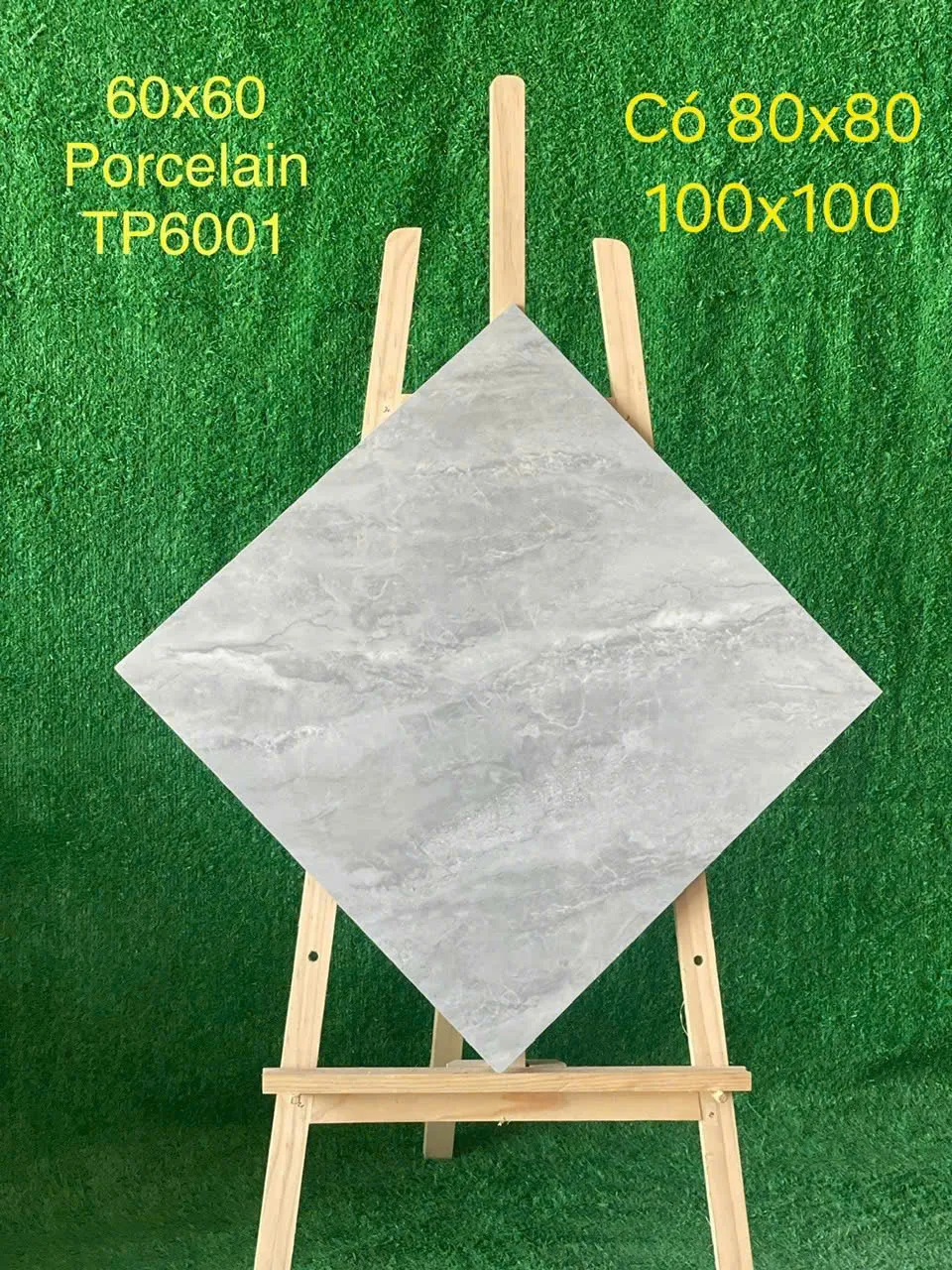 procelain TP6001