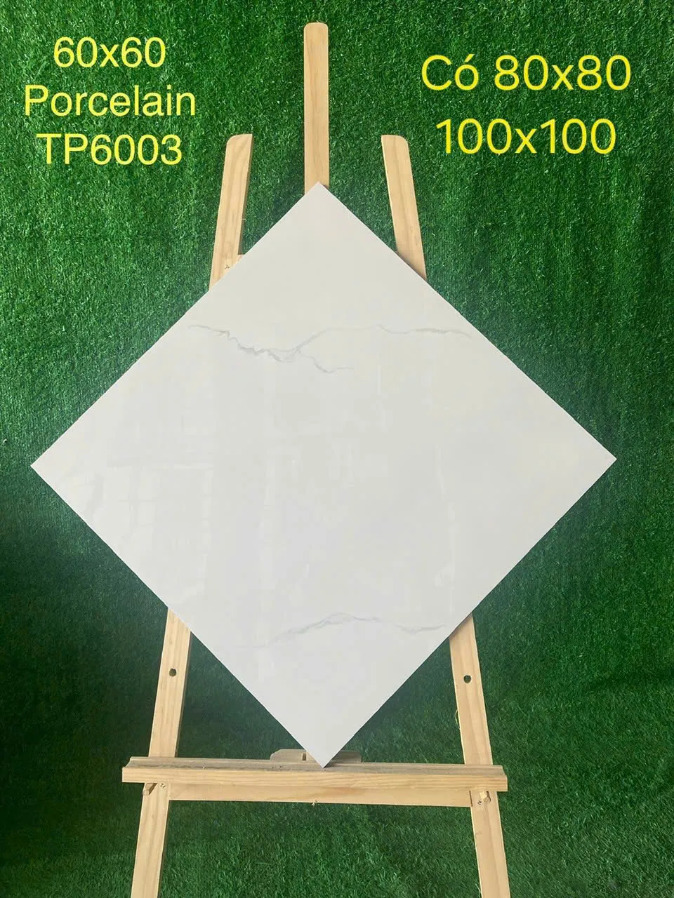 procelain TP6003
