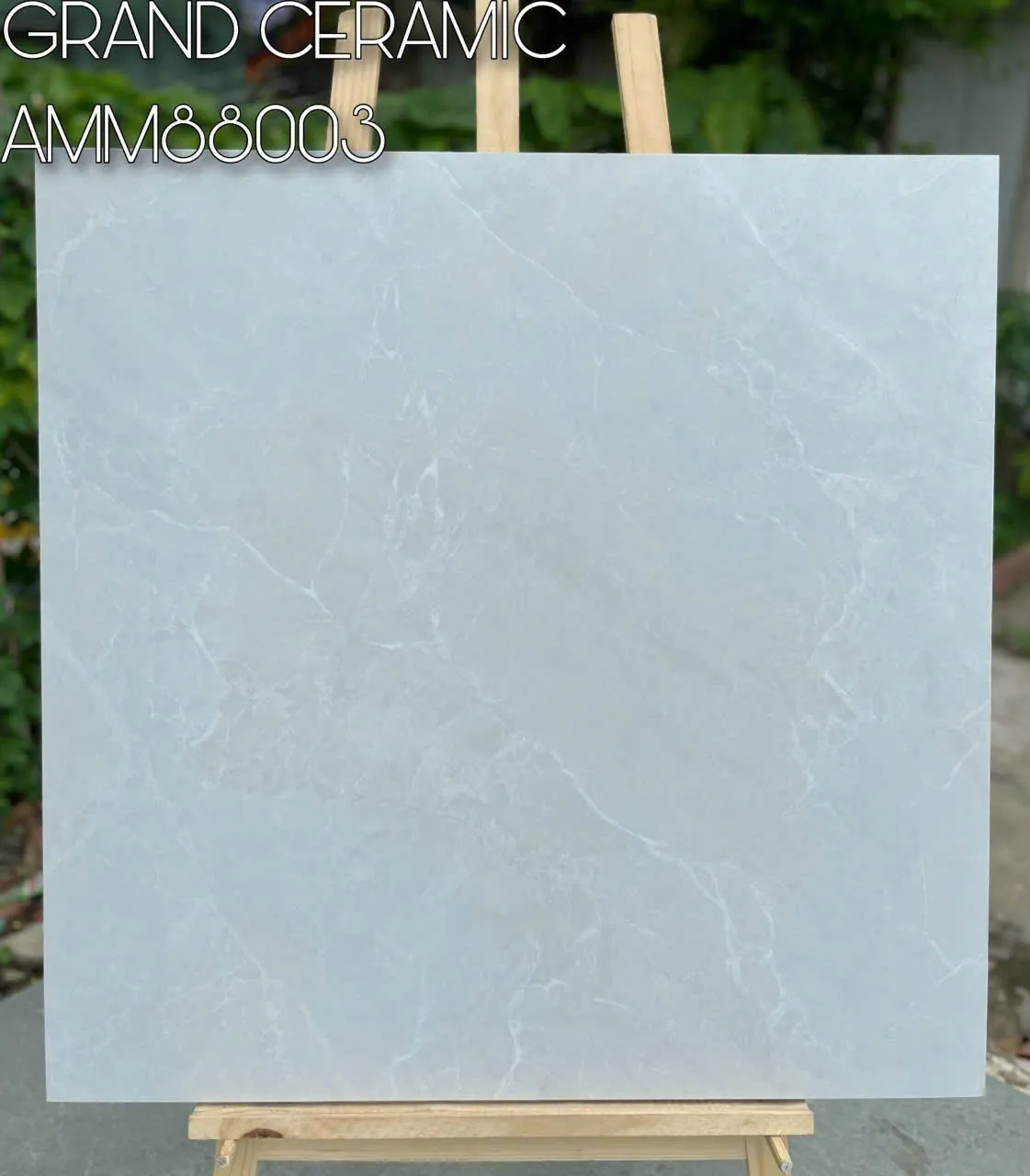Gạch Ốp Lát Ceramic AMM88003