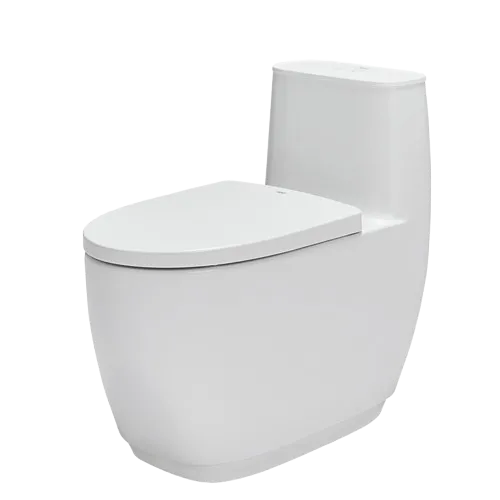 Bồn cầu 1 khối B01